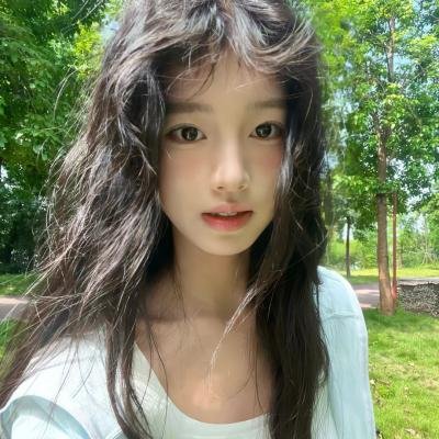 琼楼飞燕